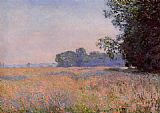 Oat Field